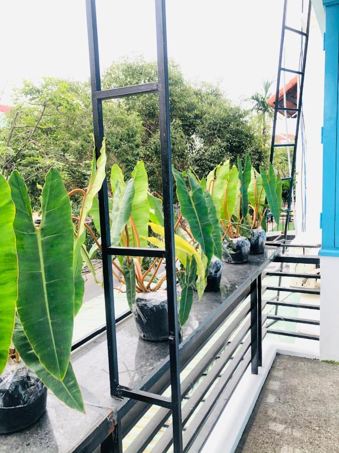 An'S Family Homestay Hoi An - 5Mins Walk To Hoi An Ancient Town Εξωτερικό φωτογραφία